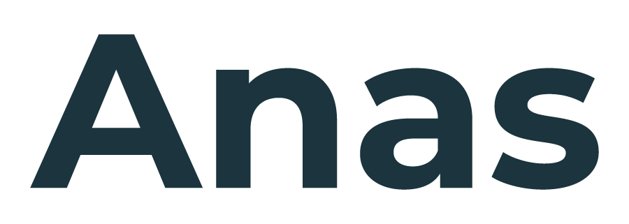 anas seo expert